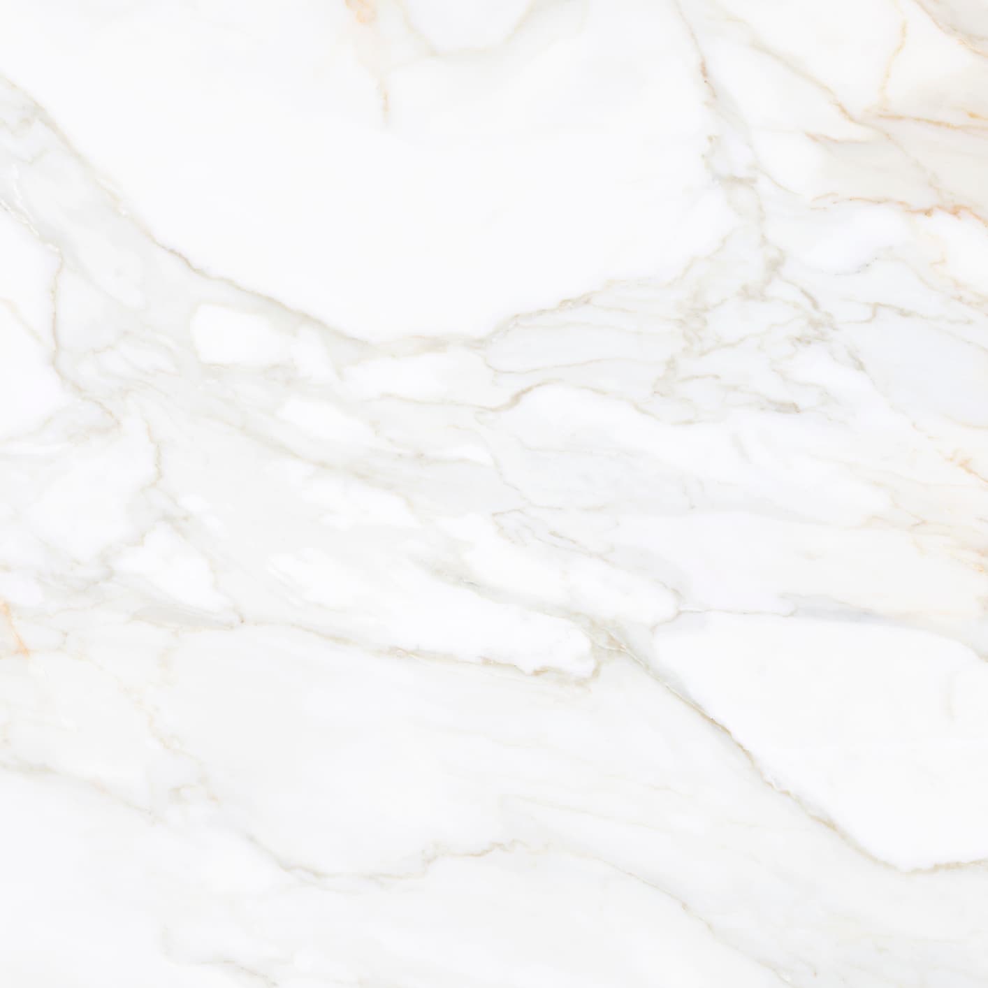 Calacatta Gold Marble Matt Calacatta Gold Marble Matt Porcelain - Image 1