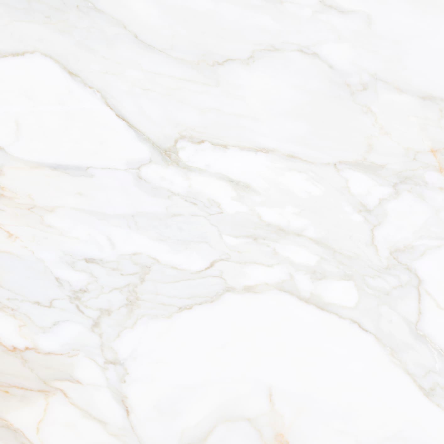 Calacatta Gold Marble Polished Calacatta Gold Marble Polished Porcelain - Image 1